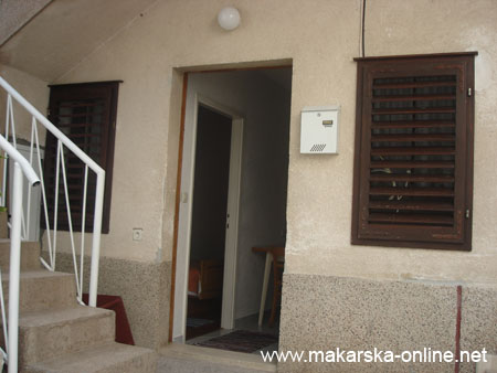 marko 006